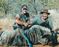 Black Wildebeest