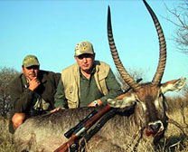 Waterbuck