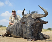 Blesbok