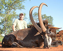 Warthog