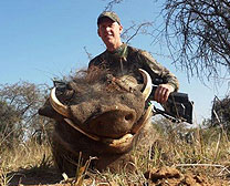 Warthog