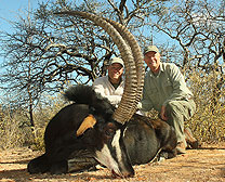 Waterbuck