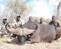 Buffalo