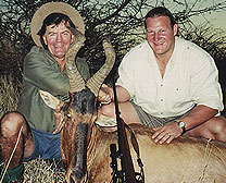 Red Hartebeest