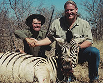 Zebra
