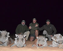 Warthog