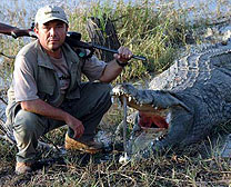 Crocodile