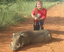 Warthog