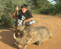 Warthog